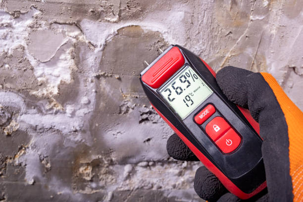 Best Mold Testing  in New Martinsville, WV